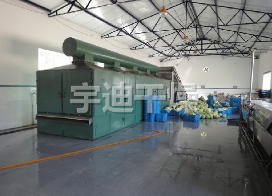 DWT系列脫水蔬菜干燥機(jī)