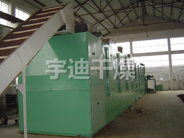 DWT系列脫水蔬菜干燥機(jī)